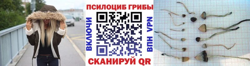 это официальный сайт  Менделеевск  Псилоцибиновые грибы Psilocybe  дарнет шоп 